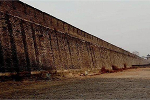 医疗科普：减重手术——高体重人群的“最后防线”